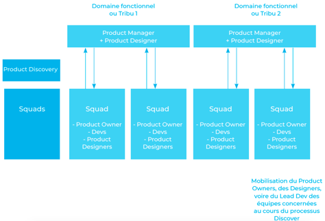 organisation product discovery