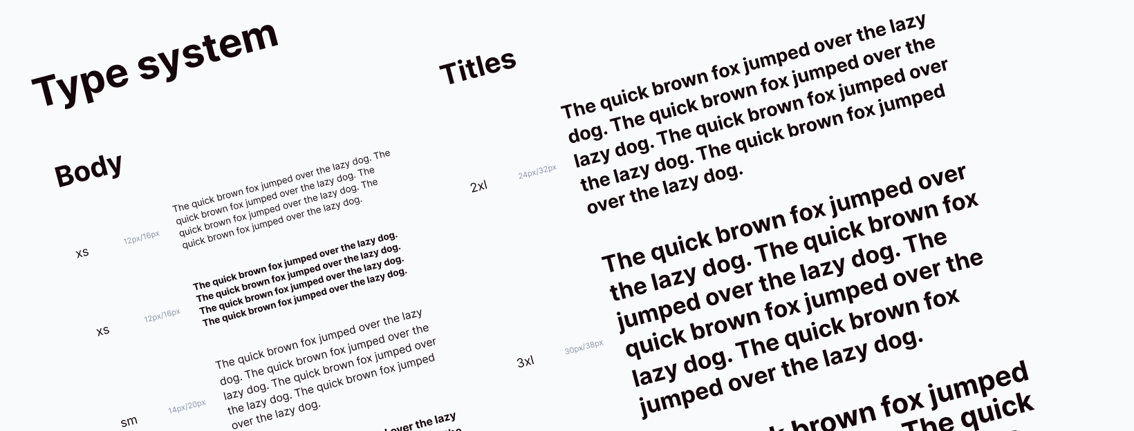 Type system