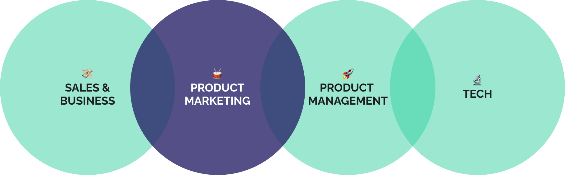 Product organization with Product Marketing and Product Marketing Manager